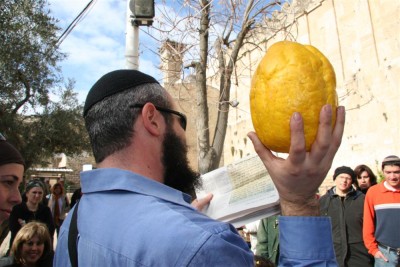 Sukkot Meditations