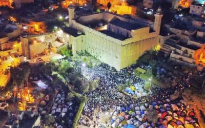 For the Love of Sarah