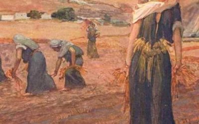 Book of Ruth: Miraculous Midnight Rendezvous