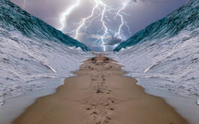 Fight, Die, Pray, Return… or the 5th Option