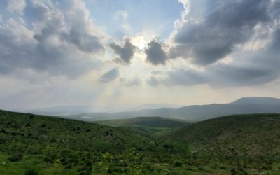 The How Did We Get Here Edition