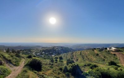 Kill the Blasphemer, 2nd Passover, & City of David