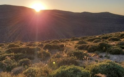 How to Stop the Land from Vomiting Us Out