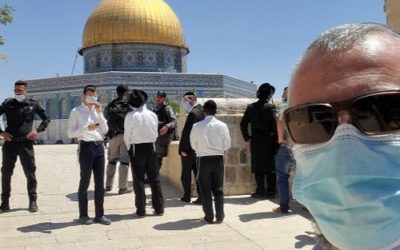 The Sword of the Snake & the City of Refuge