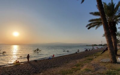 Listen to Moses or Listen to Beinart?