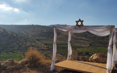 The Subtle Art of Returning Lost Objects