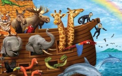 Rainbow Warriors in a Black and White World