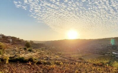 Rumble Over the Red Stuff