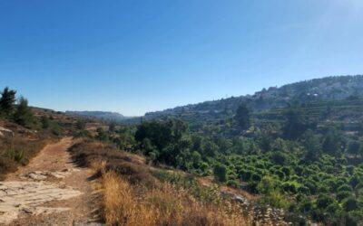 Heading to the Holy Land