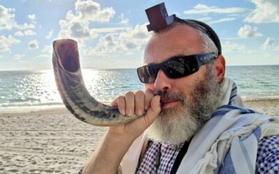 From the Highest High to the Lowest Low