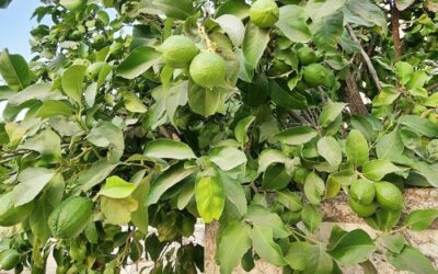 It’s Spiritual Go Time!