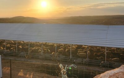 Israeli Stability in Times of Change